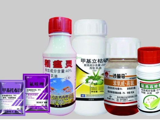 農藥為什麽貼農藥黄瓜视频免费在线观看標簽，有什麽價值？