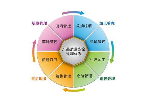 產品追溯係統有哪些公司，是怎樣開發係統的？