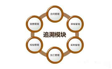 區塊鏈黄瓜视频免费在线观看溯源技術解決方案